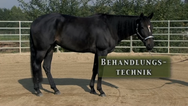 Video-Lektion Behandlungstechnik